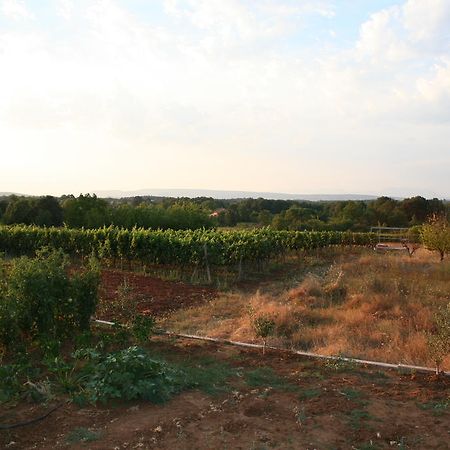 Apartments Paninich Međugorje Екстериор снимка